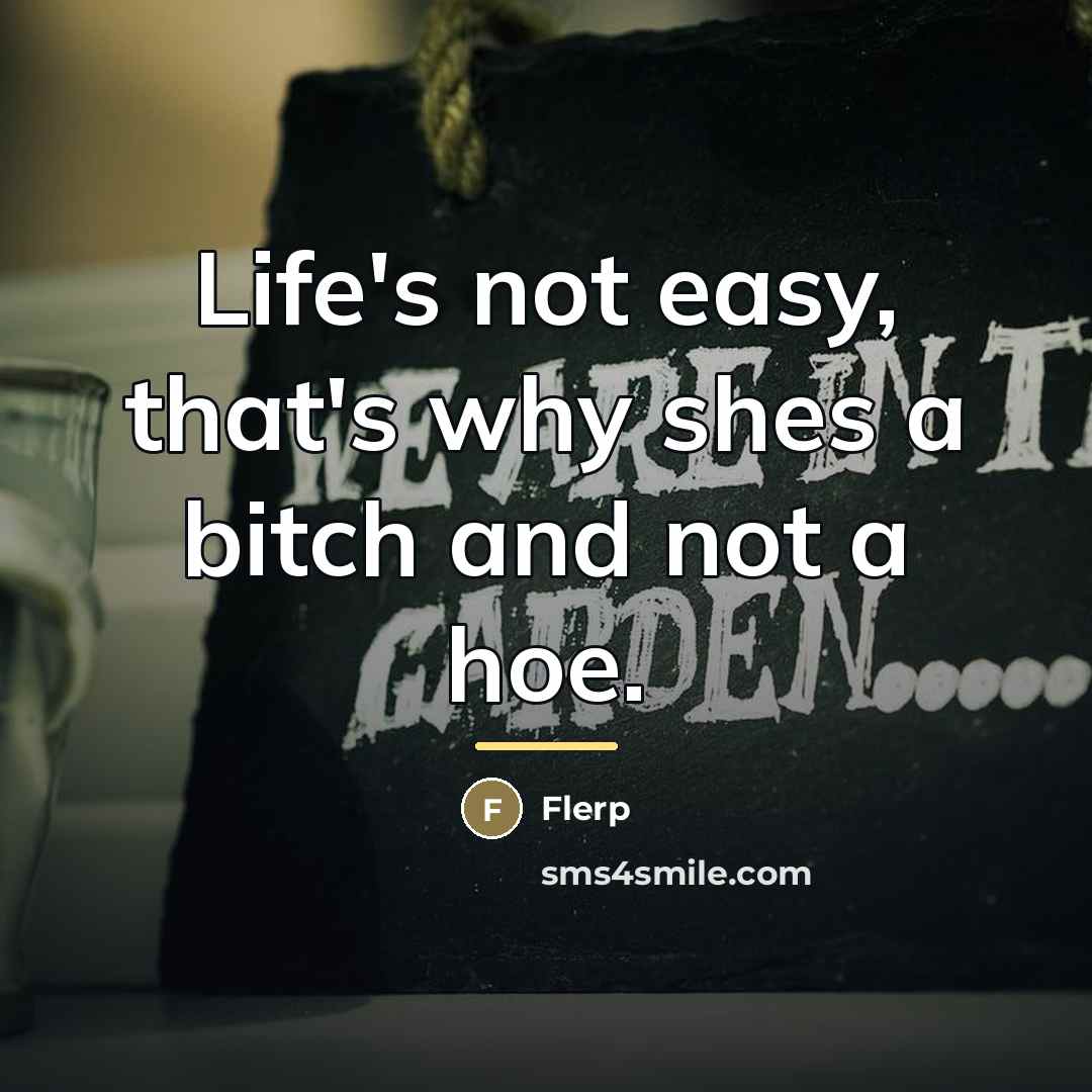 “Life's not easy, that's why shes a bitch and not…” quote by Flerp