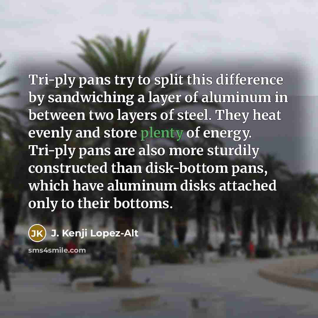 “Tri-ply pans try to split this difference by sandwiching a…” quote by J. Kenji Lopez-Alt