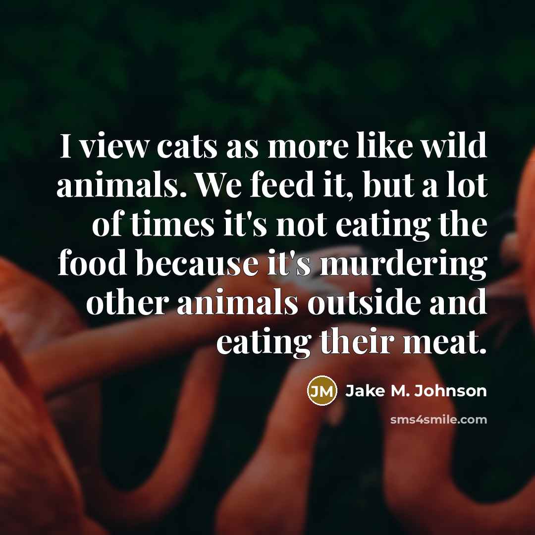 “I view cats as more like wild animals. We feed…” quote by Jake M. Johnson