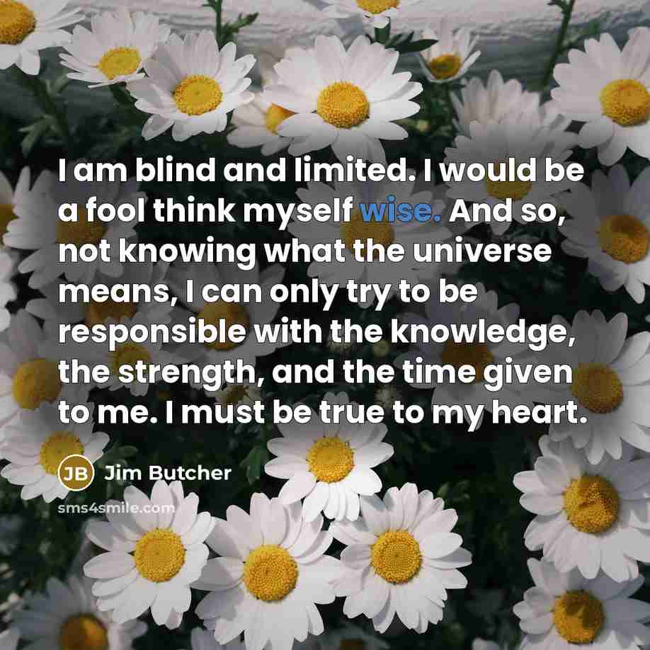 “I am blind and limited. I would be a fool…” quote by Jim Butcher