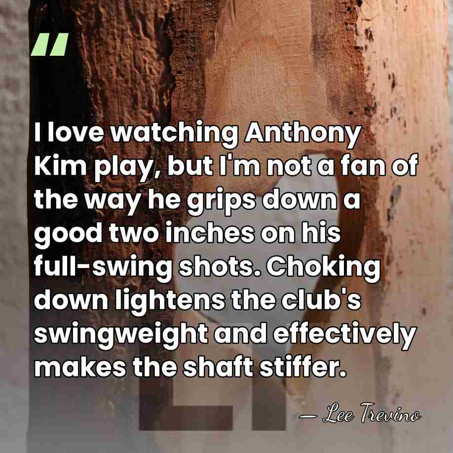 I love watching Anthony Kim play, but I'm not a fan of&hellip; - Lee Trevino