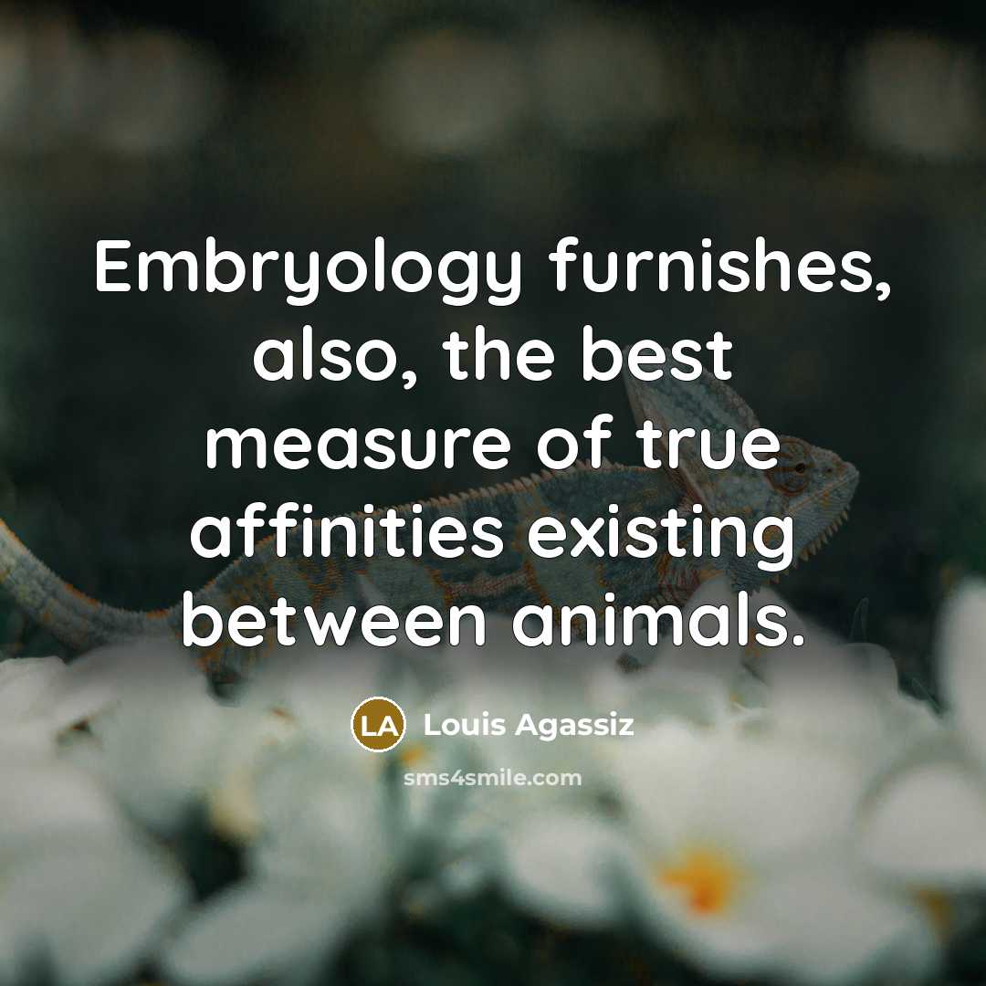 “Embryology furnishes, also, the best measure of true affinities existing…” quote by Louis Agassiz