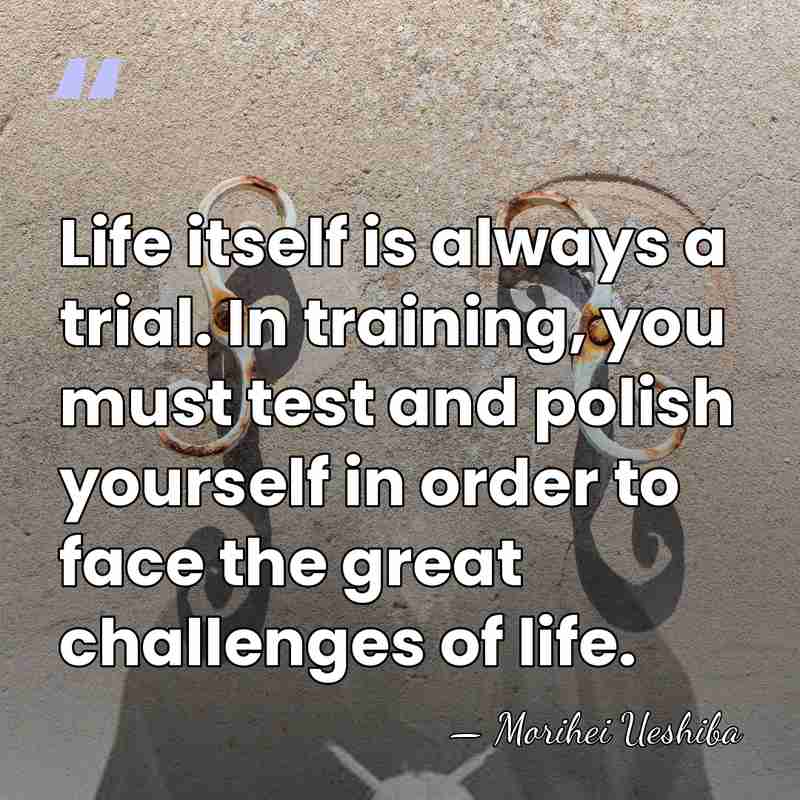 Life itself is always a trial. In training, you must test and&hellip; - Morihei Ueshiba