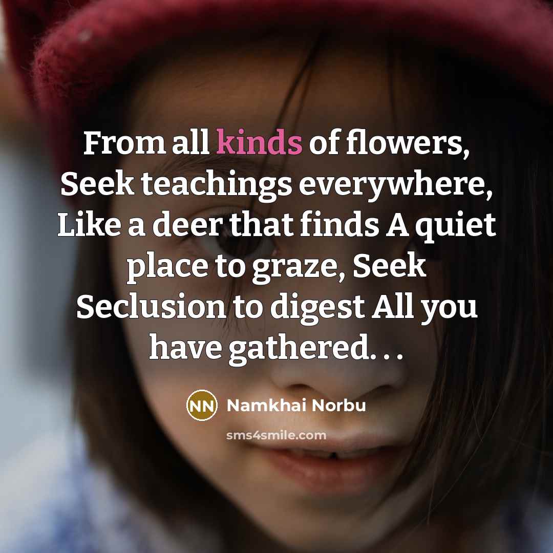 “From all kinds of flowers, Seek teachings everywhere, Like a…” quote by Namkhai Norbu