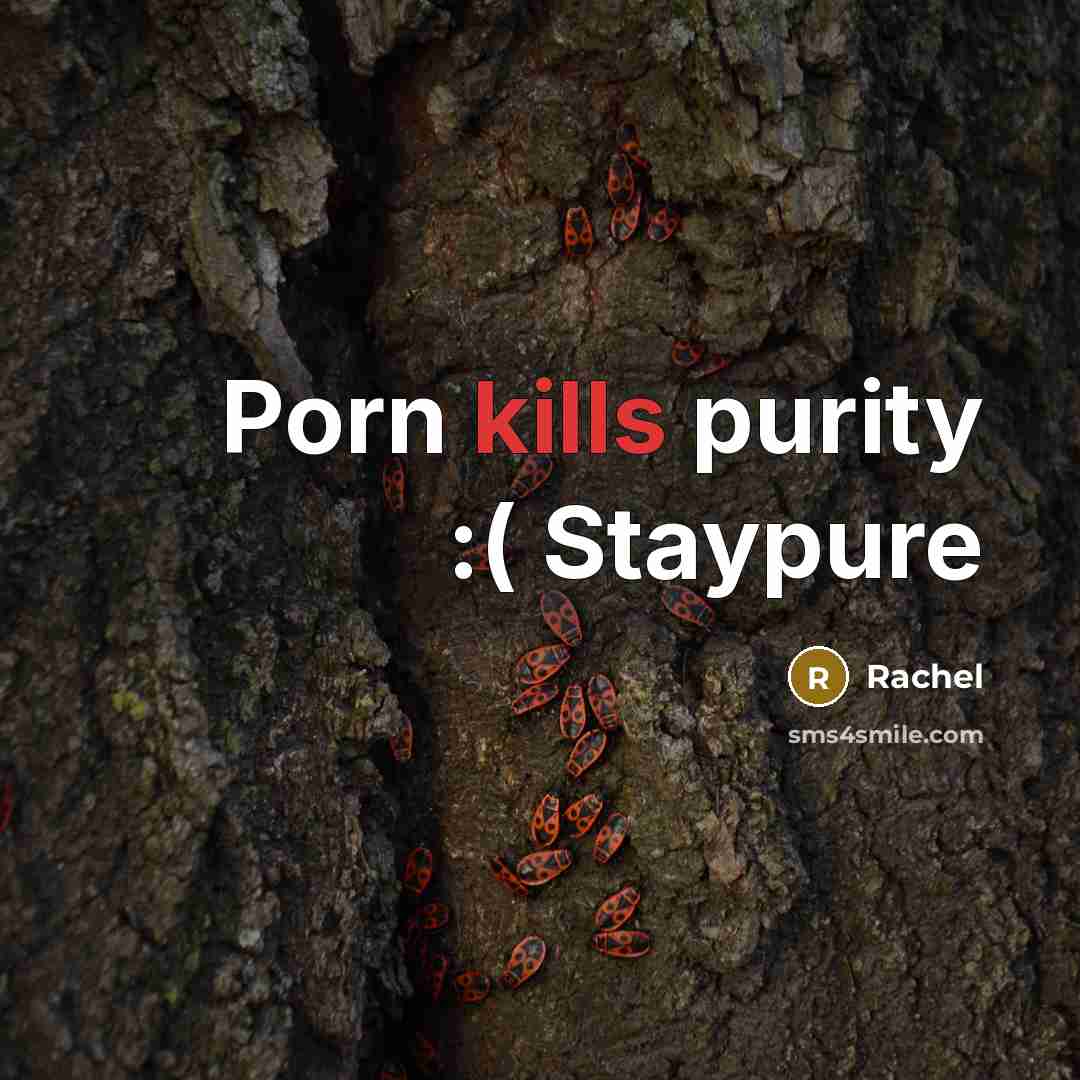 “Porn kills purity :( Staypure” quote by Rachel