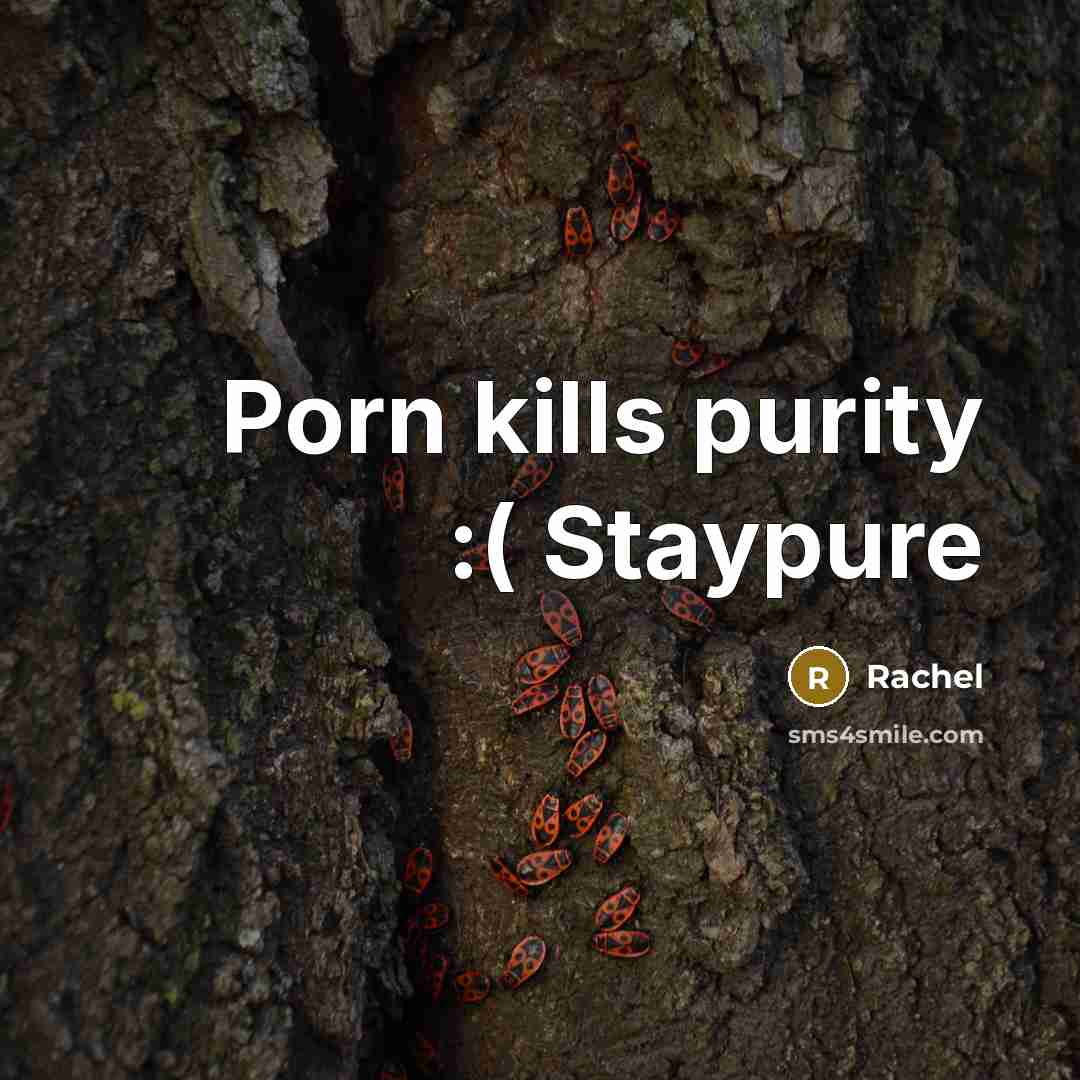 “Porn kills purity :( Staypure…” quote by Rachel