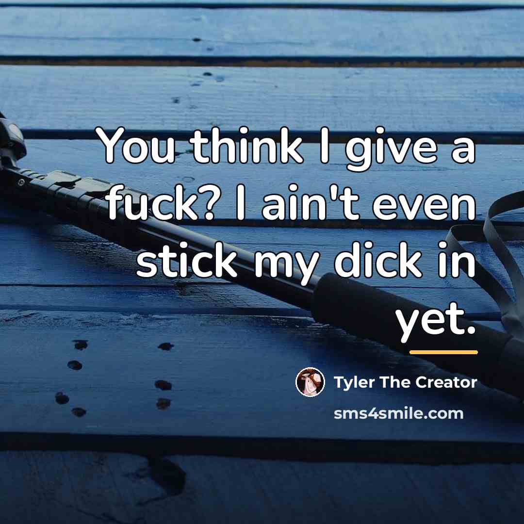 “You think I give a fuck? I ain't even stick…” quote by Tyler The Creator