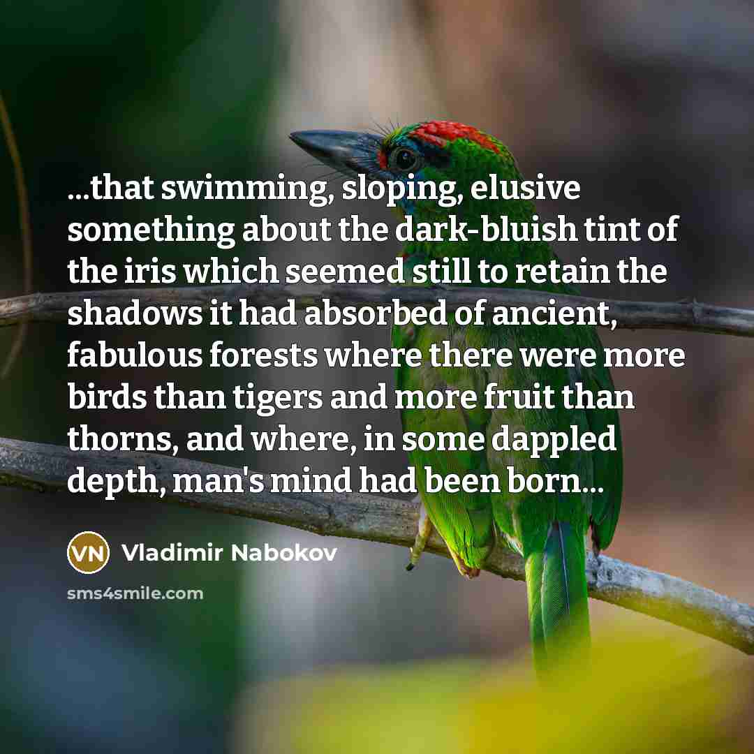 “...that swimming, sloping, elusive something about the dark-bluish tint of…” quote by Vladimir Nabokov
