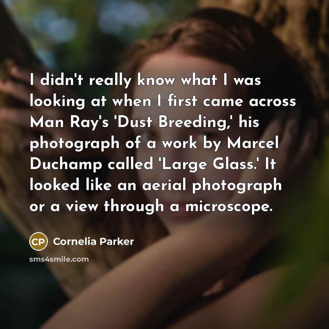 “I didn't really know what I was looking at when…” quote by Cornelia Parker