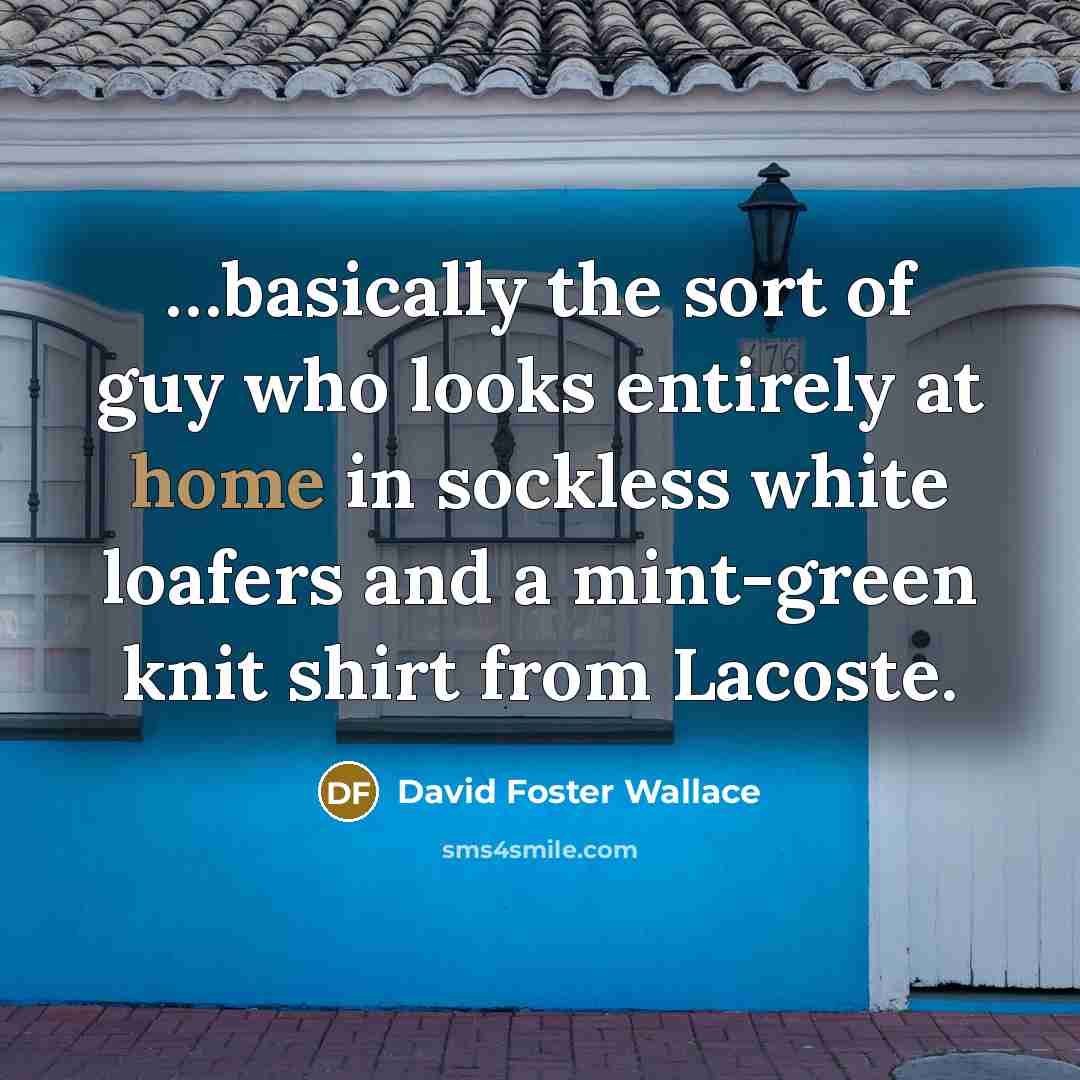“....basically the sort of guy who looks entirely at home…” quote by David Foster Wallace