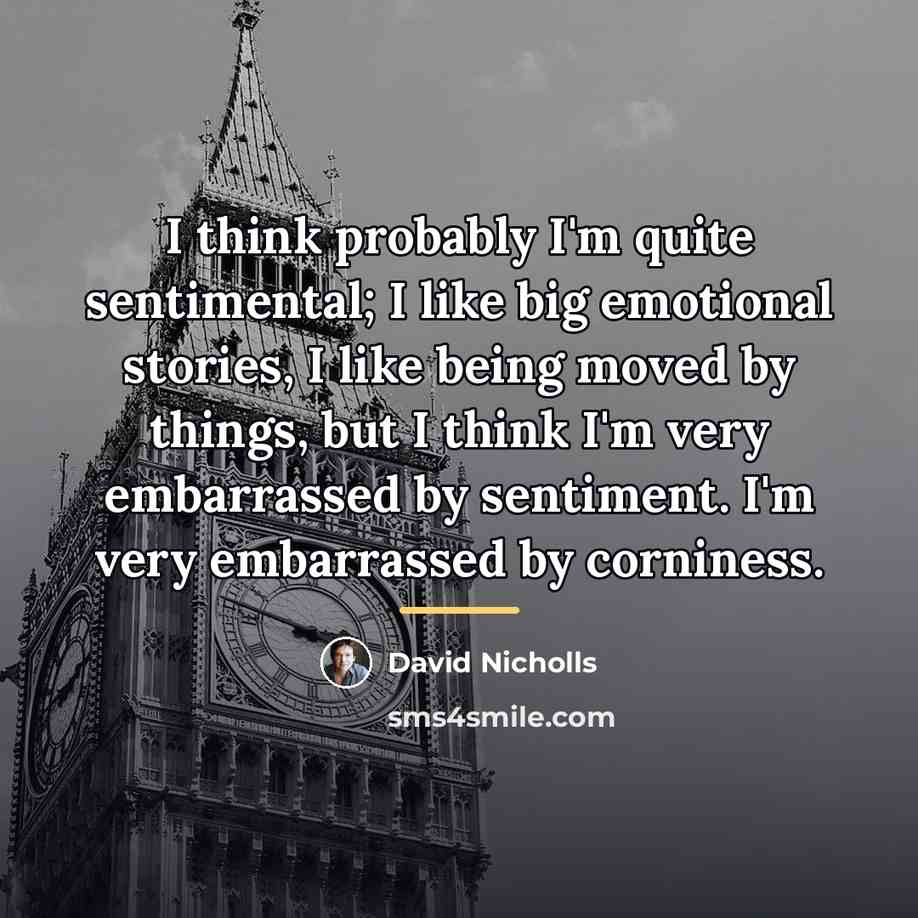 “I think probably I'm quite sentimental; I like big emotional…” quote by David Nicholls