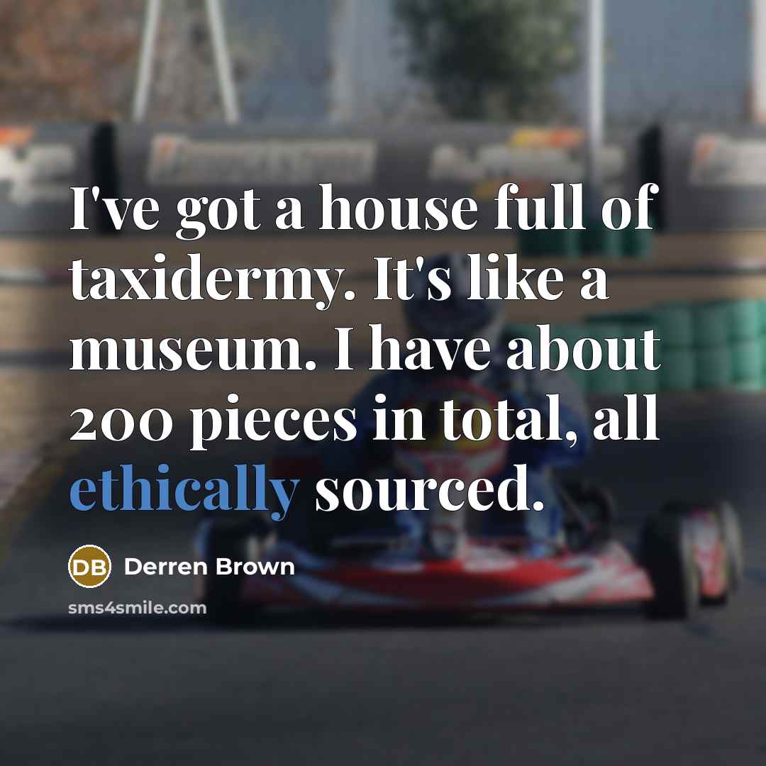 “I've got a house full of taxidermy. It's like a…” quote by Derren Brown