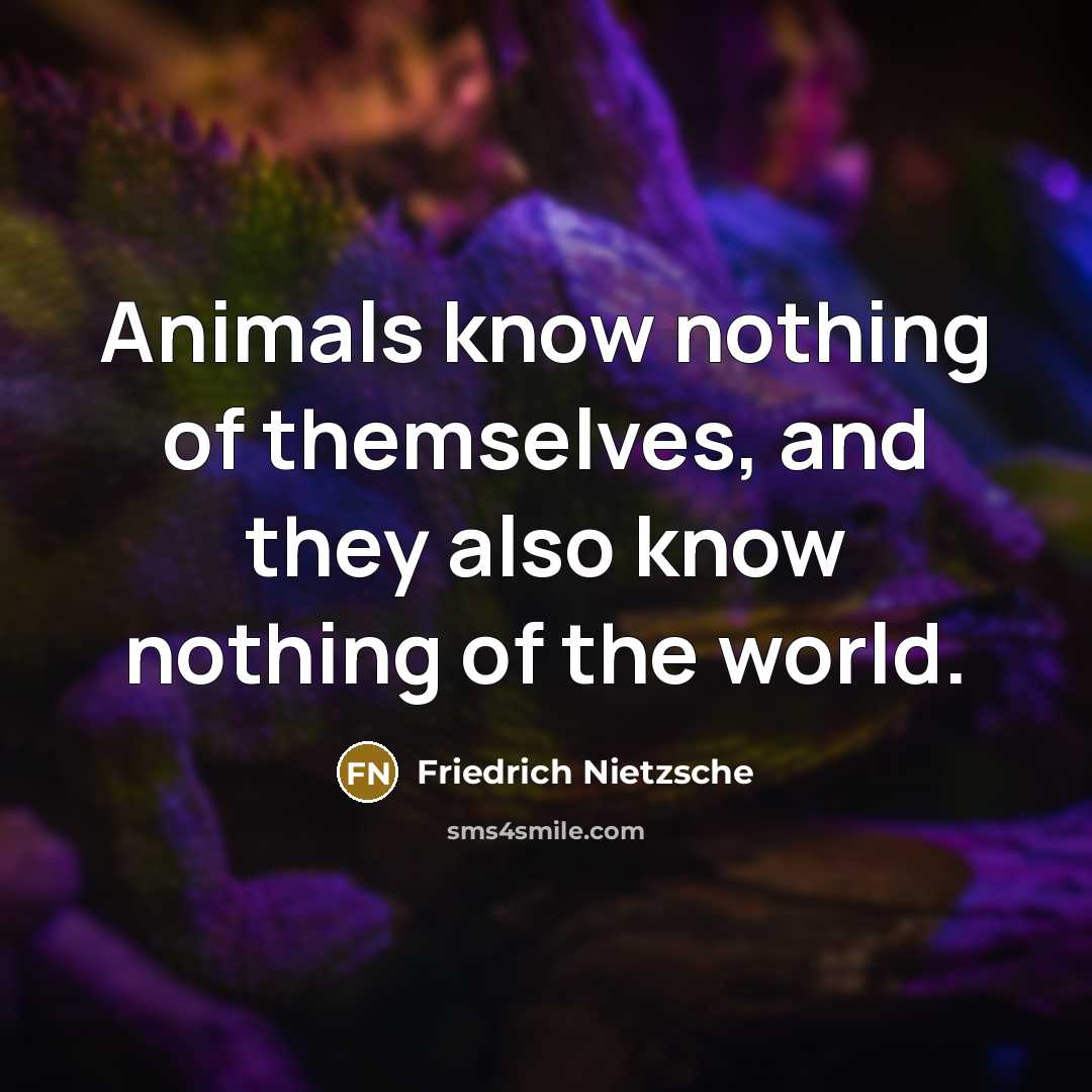 “Animals know nothing of themselves, and they also know nothing…” quote by Friedrich Nietzsche
