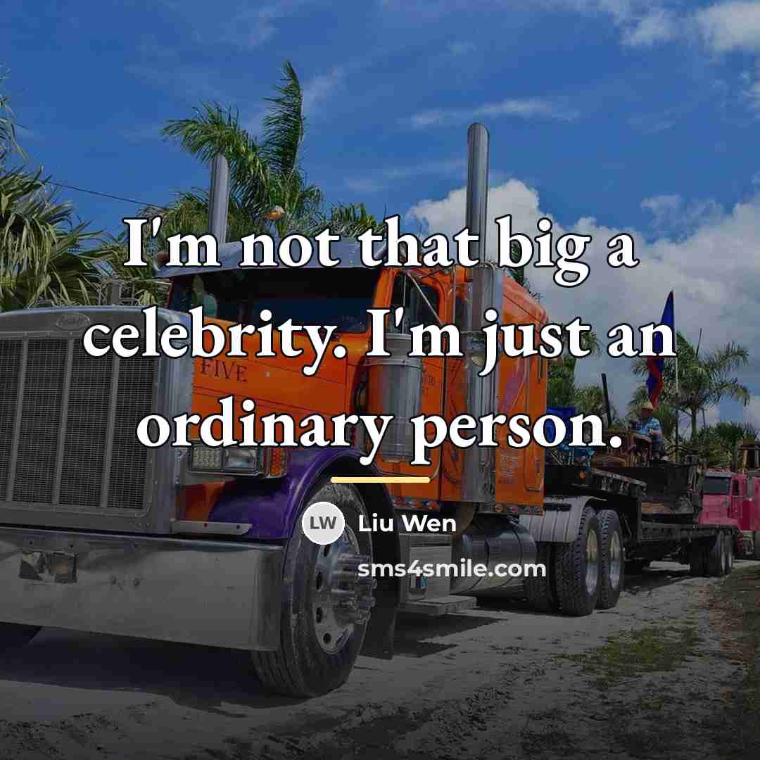 “I'm not that big a celebrity. I'm just an ordinary…” quote by Liu Wen