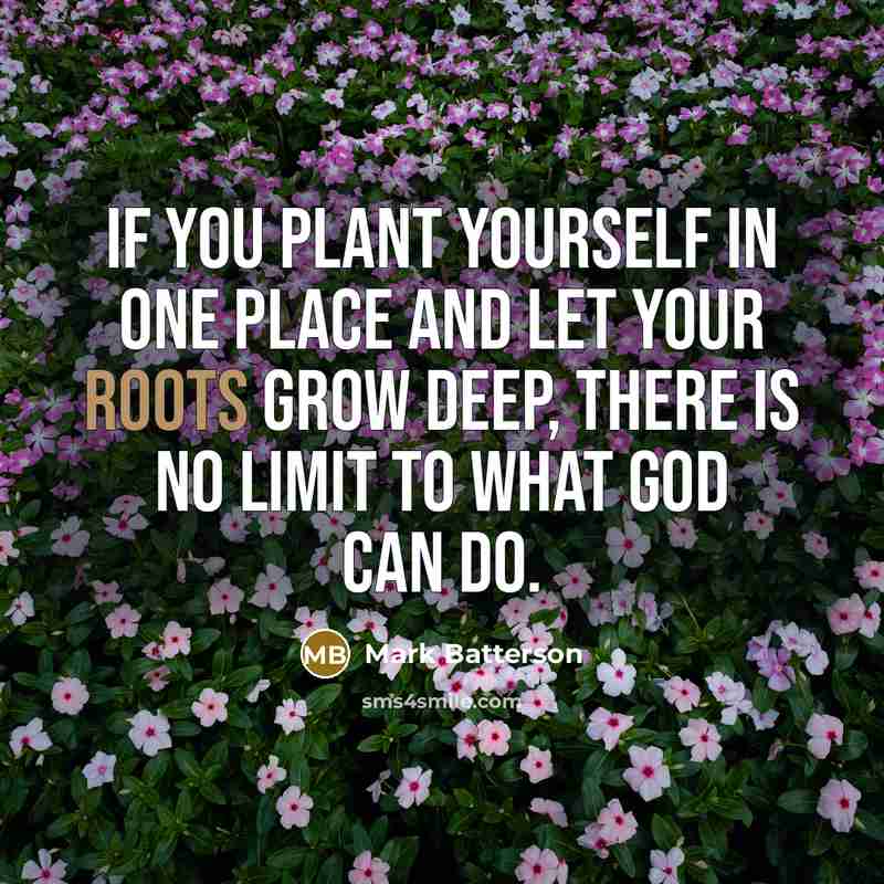 “If you plant yourself in one place and let your…” quote by Mark Batterson