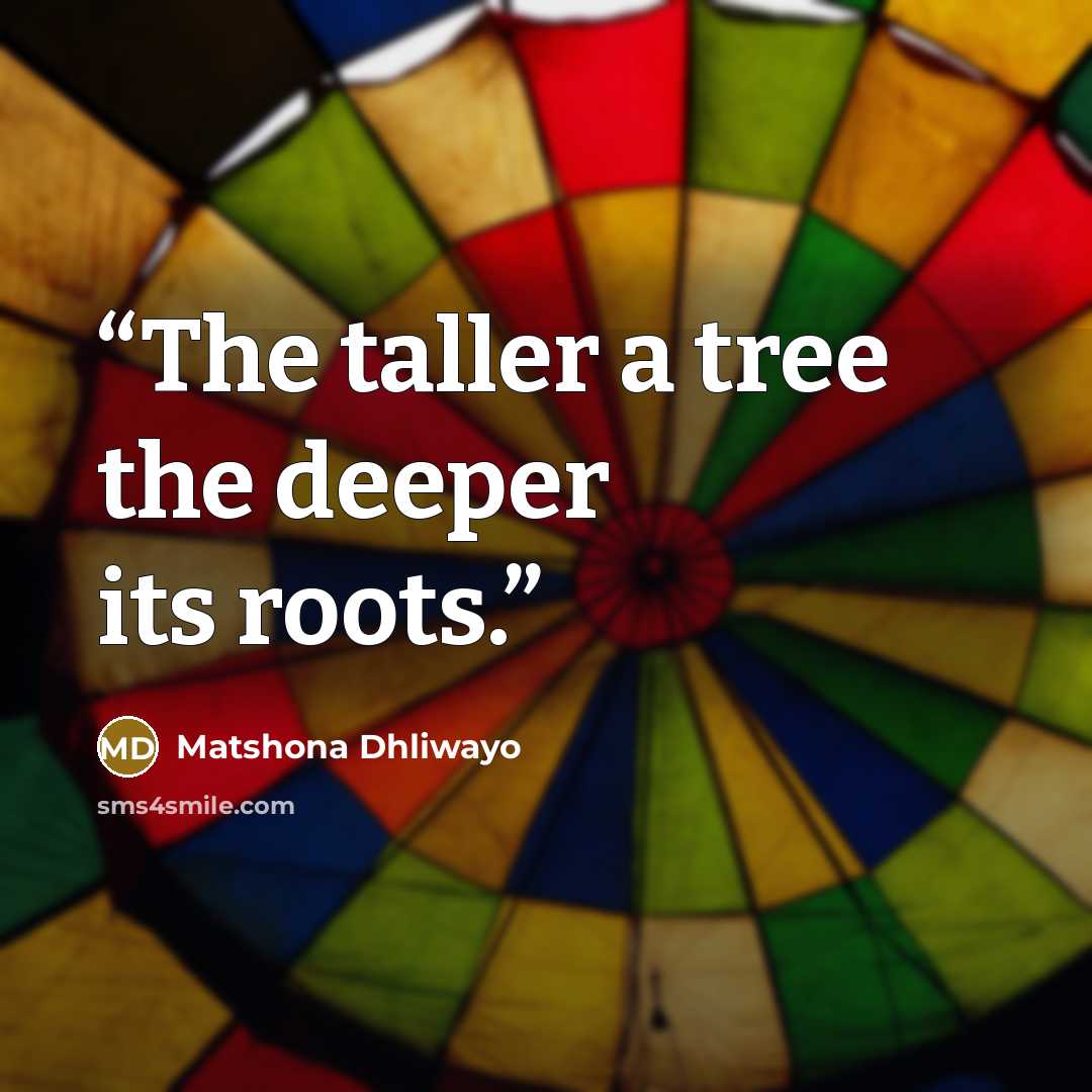 “The taller a tree the deeper its roots.” quote by Matshona Dhliwayo