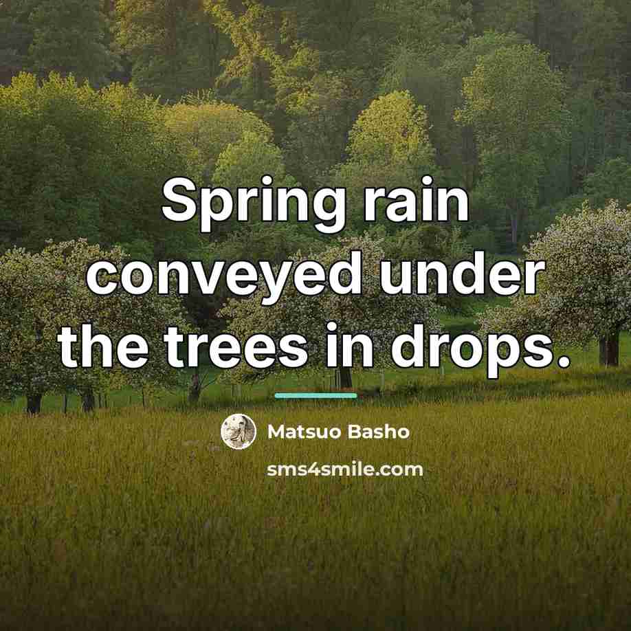 “Spring rain conveyed under the trees in drops.…” quote by Matsuo Basho
