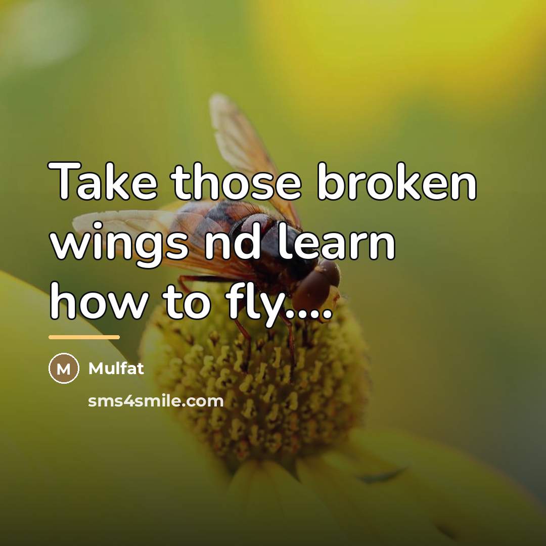 “Take those broken wings nd learn how to fly....…” quote by Mulfat