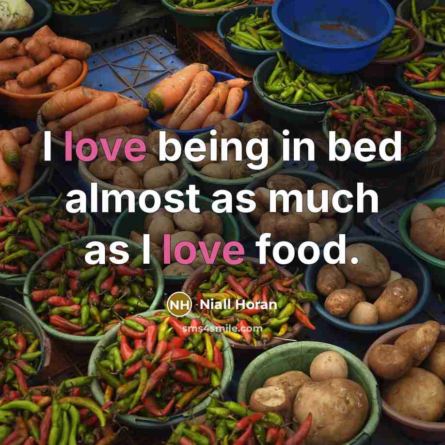 “I love being in bed almost as much as I…” quote by Niall Horan