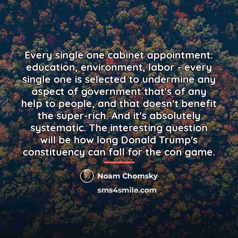 “Every single one cabinet appointment: education, environment, labor - every…” quote by Noam Chomsky