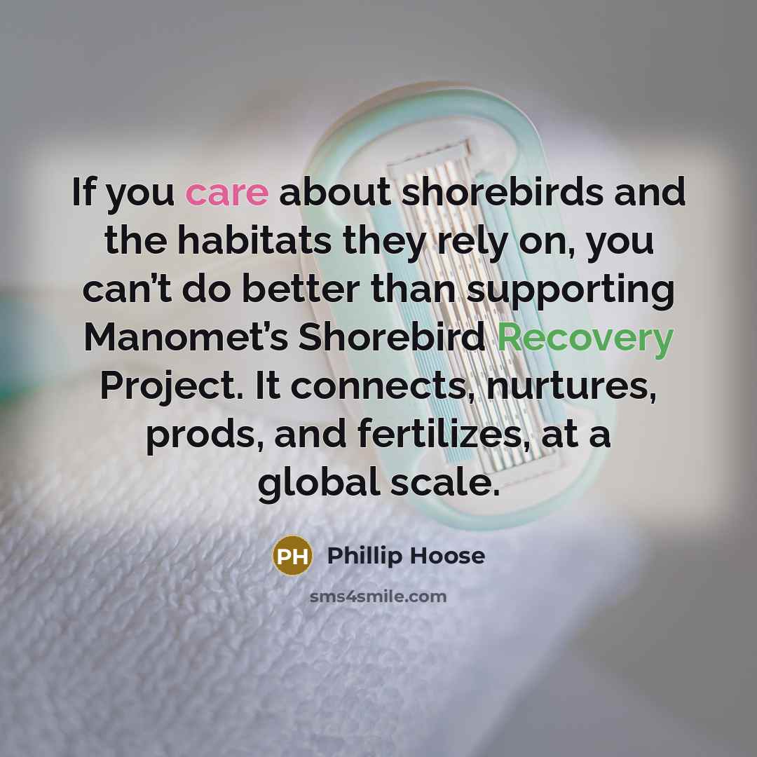“If you care about shorebirds and the habitats they rely…” quote by Phillip Hoose