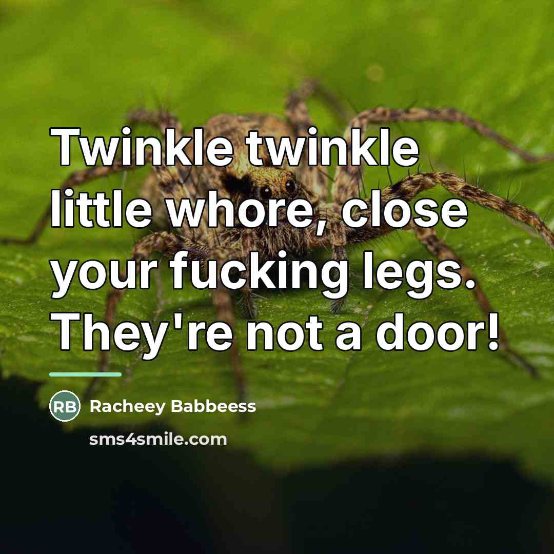 “Twinkle twinkle little whore, close your fucking legs. They're not…” quote by Racheey Babbeess