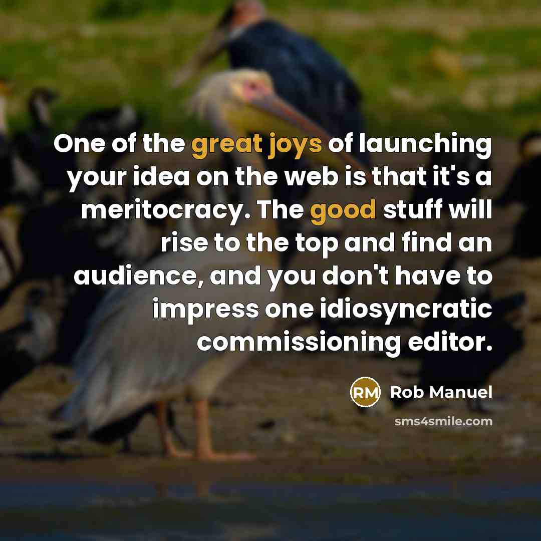 “One of the great joys of launching your idea on…” quote by Rob Manuel