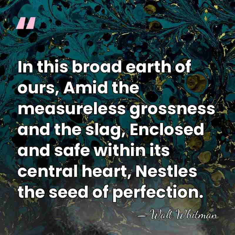In this broad earth of ours, Amid the measureless grossness and the&hellip; - Walt Whitman