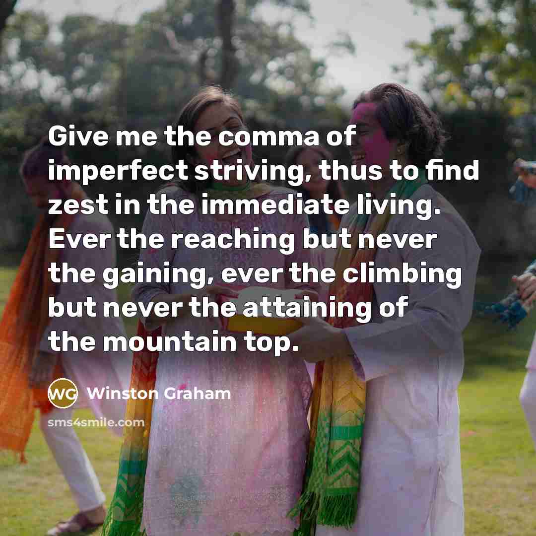 “Give me the comma of imperfect striving, thus to find…” quote by Winston Graham