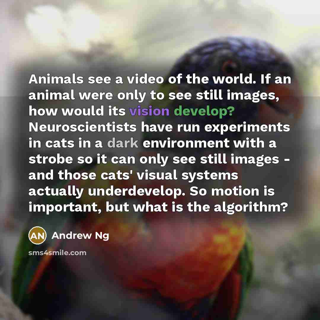“Animals see a video of the world. If an animal…” quote by Andrew Ng