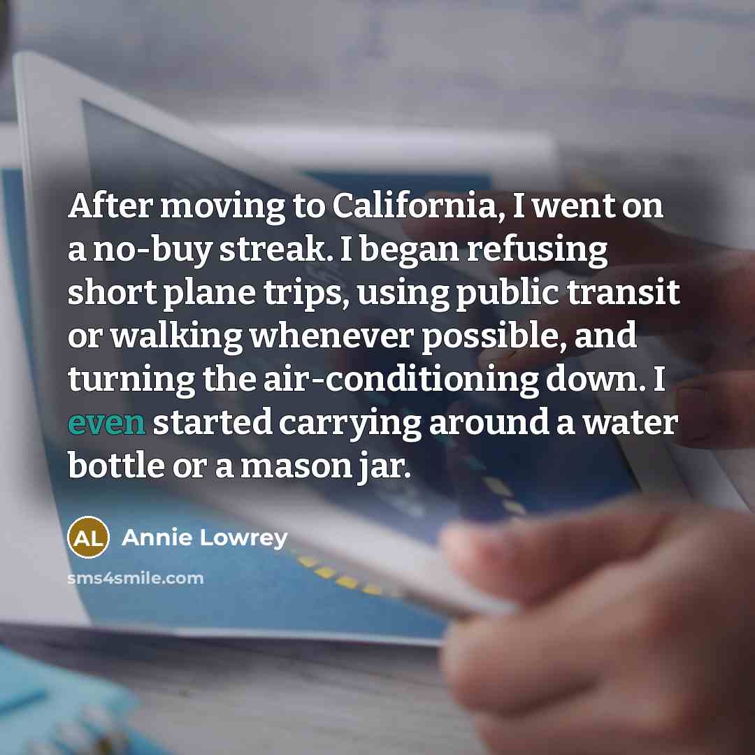 “After moving to California, I went on a no-buy streak.…” quote by Annie Lowrey