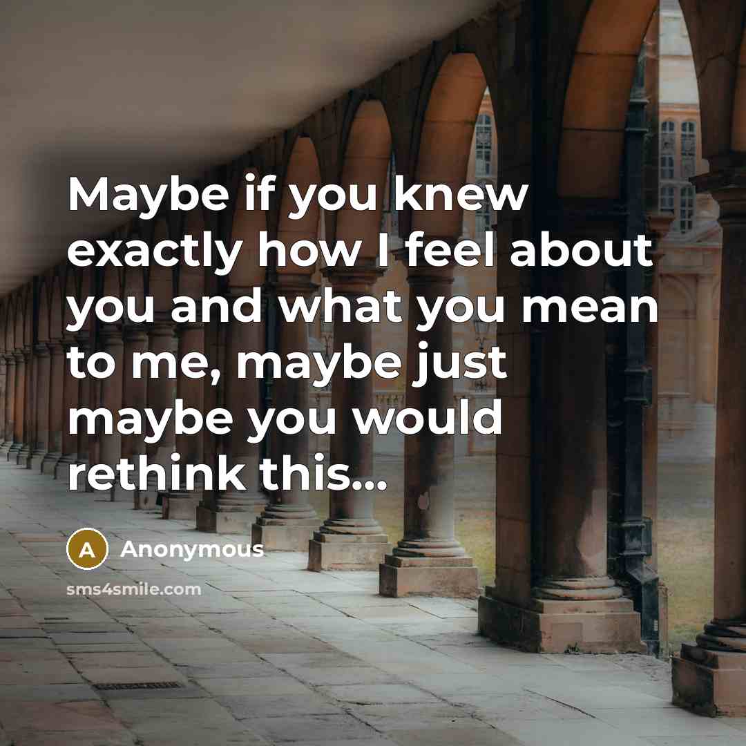 “Maybe if you knew exactly how I feel about you and what you mean to me, maybe just maybe you would rethink this...” quote by Anonymous