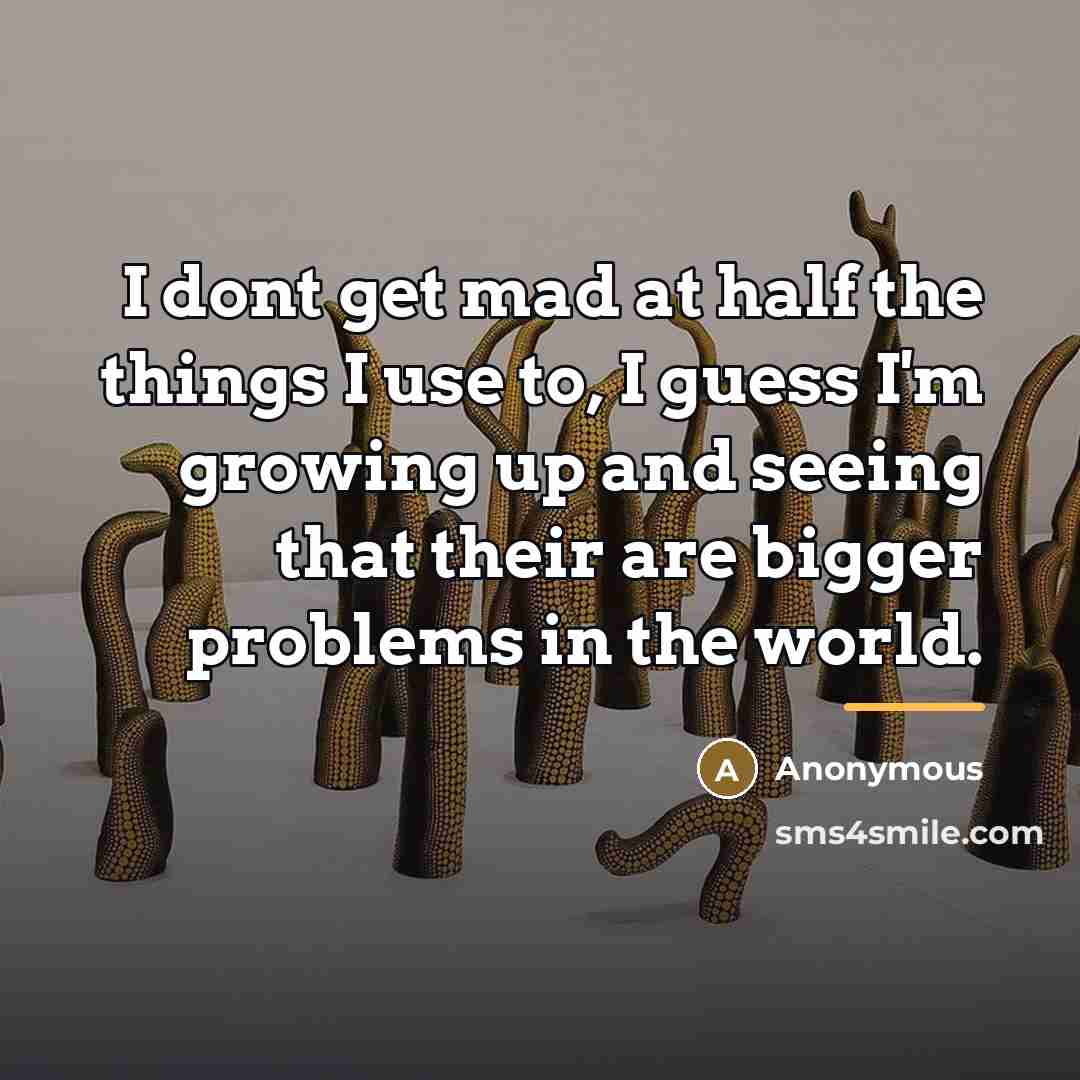 “I dont get mad at half the things I use…” quote by Anonymous