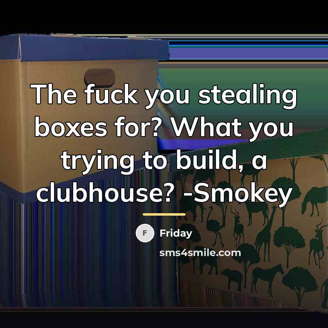 “The fuck you stealing boxes for? What you trying to…” quote by Friday