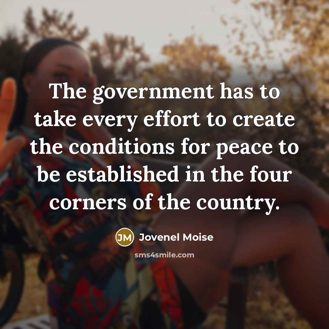 “The government has to take every effort to create the…” quote by Jovenel Moise