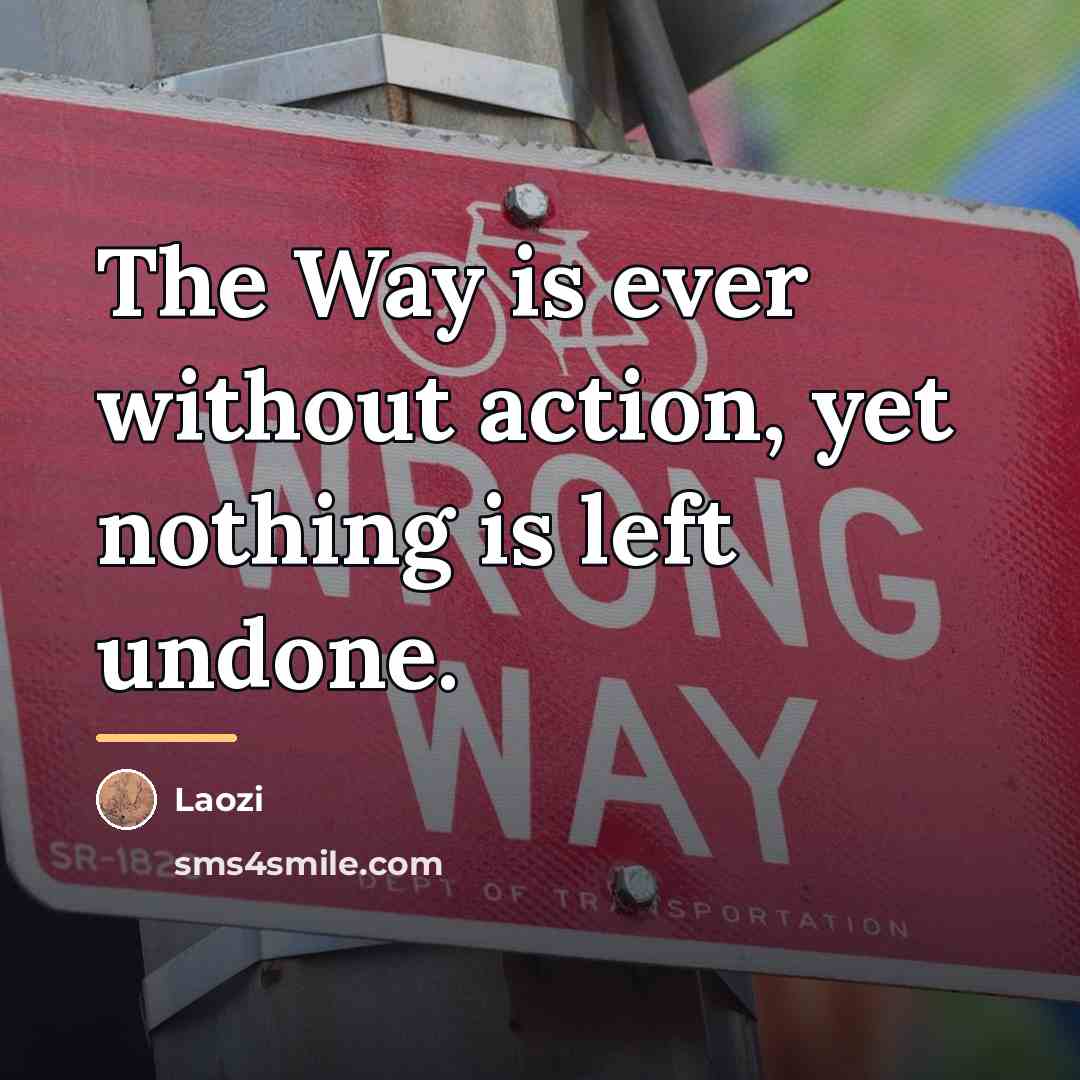 “The Way is ever without action, yet nothing is left…” quote by Laozi