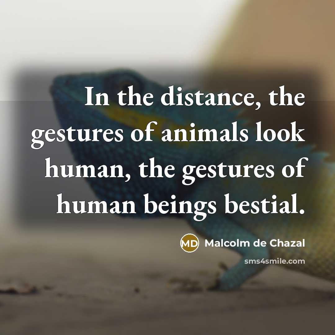“In the distance, the gestures of animals look human, the…” quote by Malcolm De Chazal