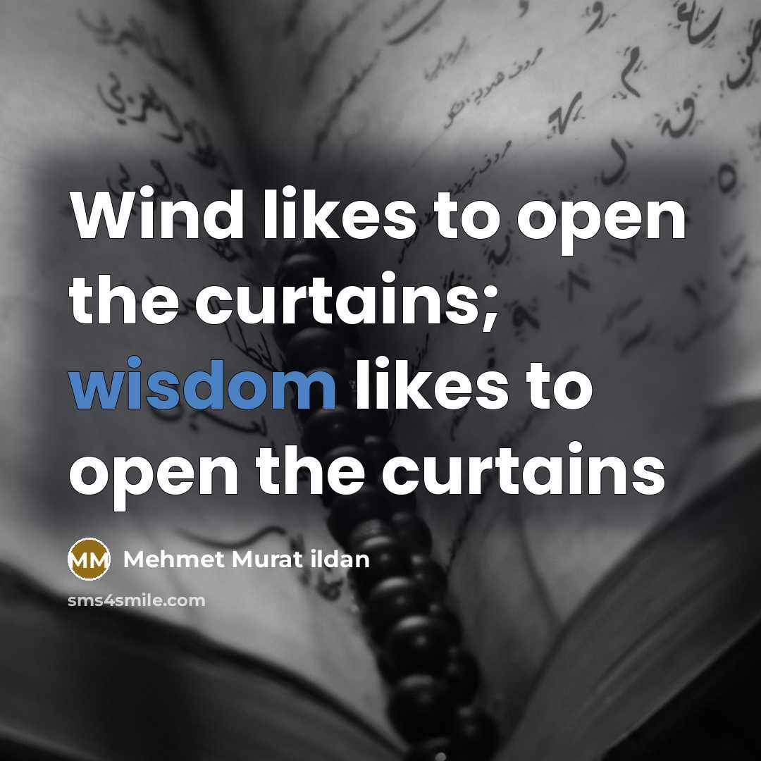 “Wind likes to open the curtains; wisdom likes to open…” quote by Mehmet Murat ildan