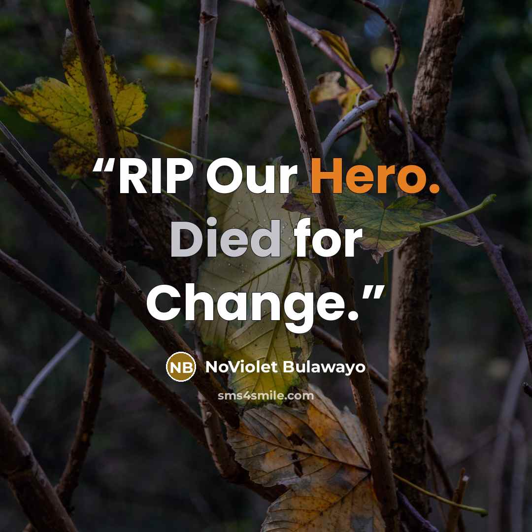 “RIP Our Hero. Died for Change.” quote by NoViolet Bulawayo