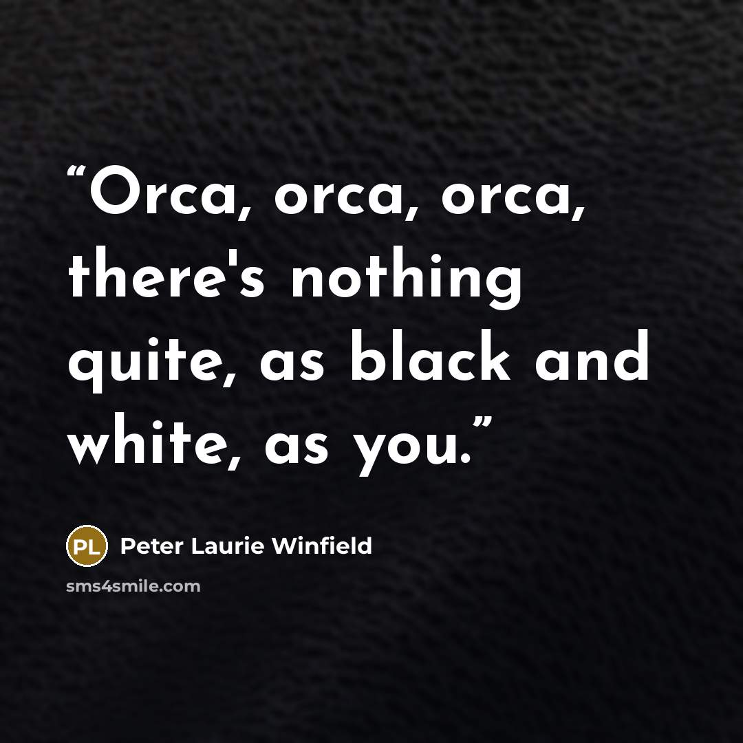 “Orca, orca, orca, there's nothing quite, as black and white, as you.” quote by Peter Laurie Winfield