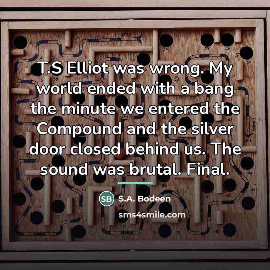“T.S Elliot was wrong. My world ended with a bang…” quote by S.A. Bodeen