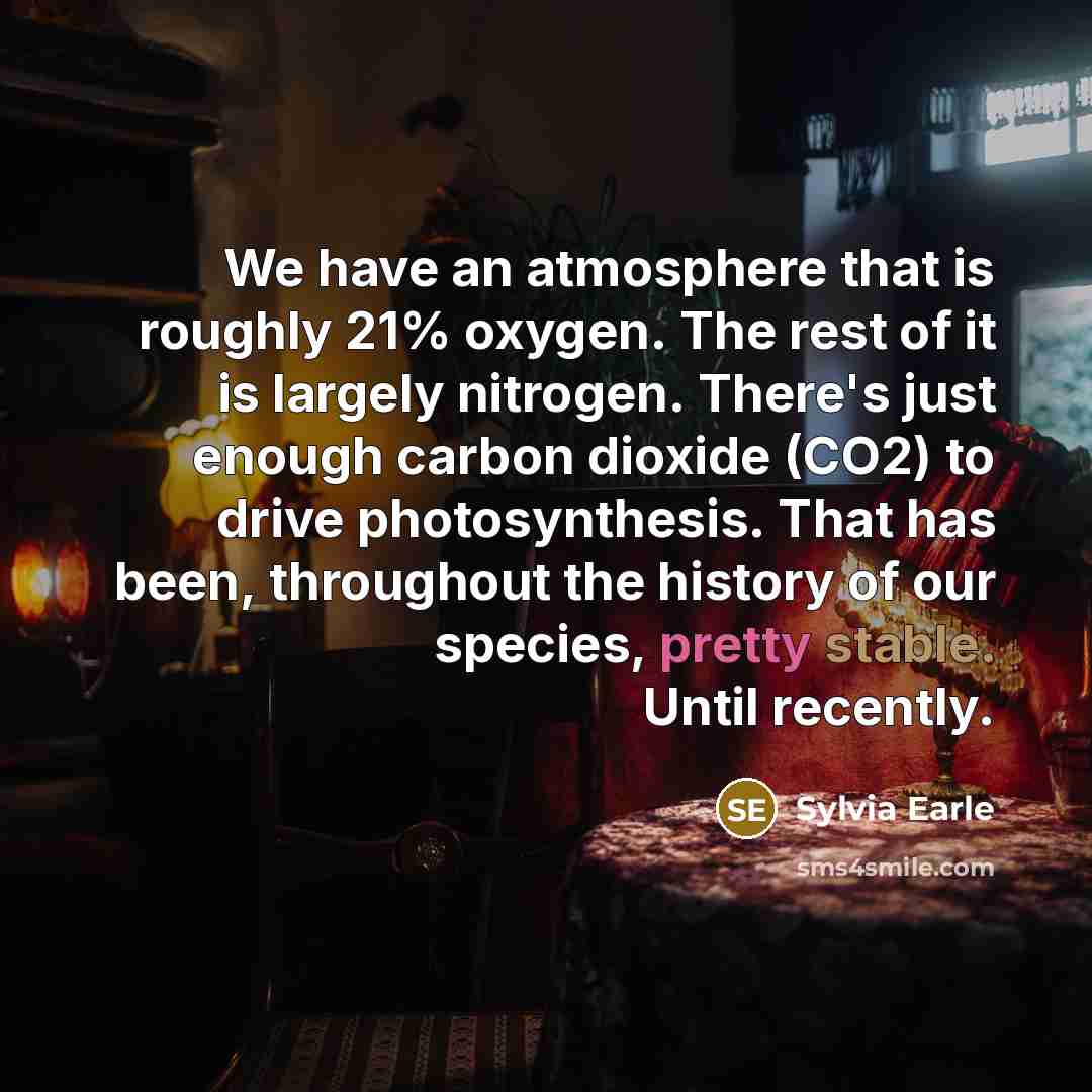 “We have an atmosphere that is roughly 21% oxygen. The…” quote by Sylvia Earle