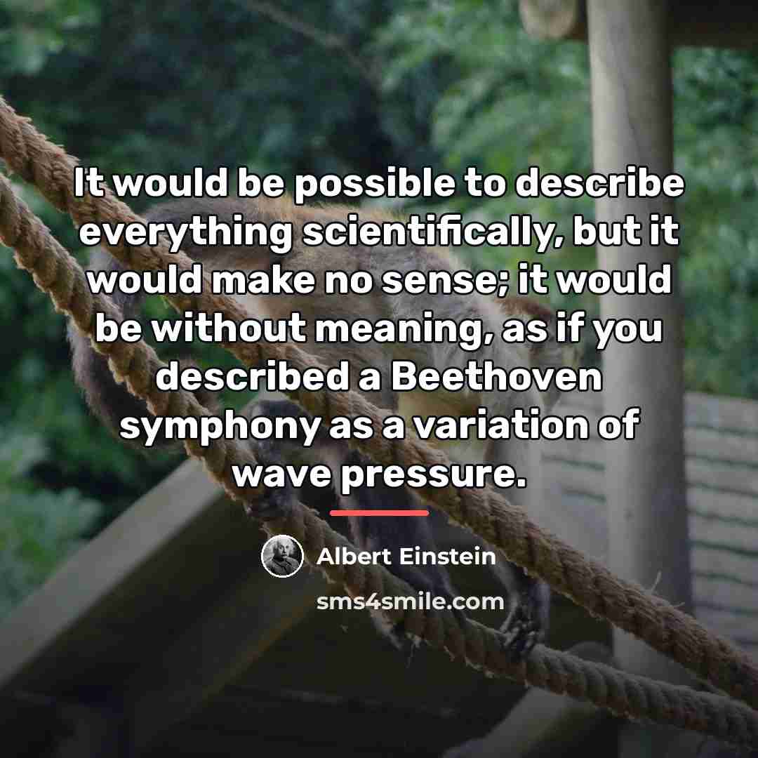 “It would be possible to describe everything scientifically, but it…” quote by Albert Einstein