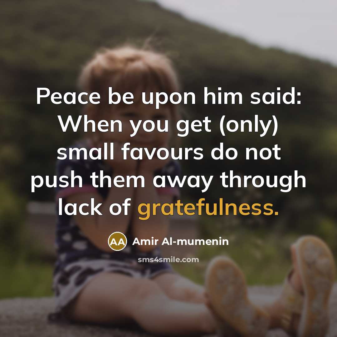 “Peace be upon him said: When you get (only) small favours do not push them away through lack of gratefulness.” quote by Amir Al-mumenin