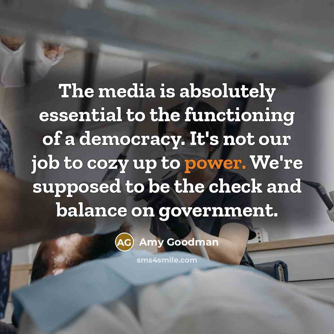 “The media is absolutely essential to the functioning of a…” quote by Amy Goodman