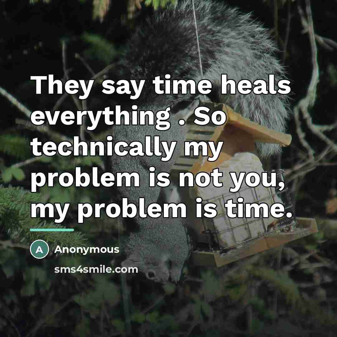 “They say time heals everything . So technically my problem…” quote by Anonymous