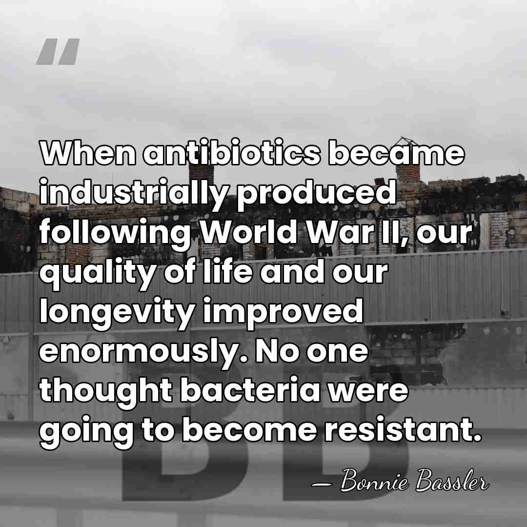 When antibiotics became industrially produced following World War II, our quality of&hellip; - Bonnie Bassler