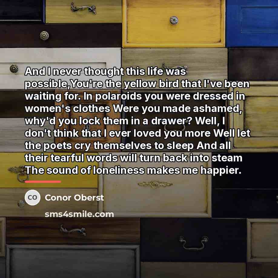 “And I never thought this life was possible,You're the yellow…” quote by Conor Oberst