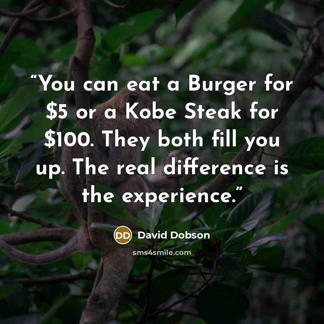“You can eat a Burger for $5 or a Kobe Steak for $100. They both fill you up. The real difference is the experience.” quote by David Dobson