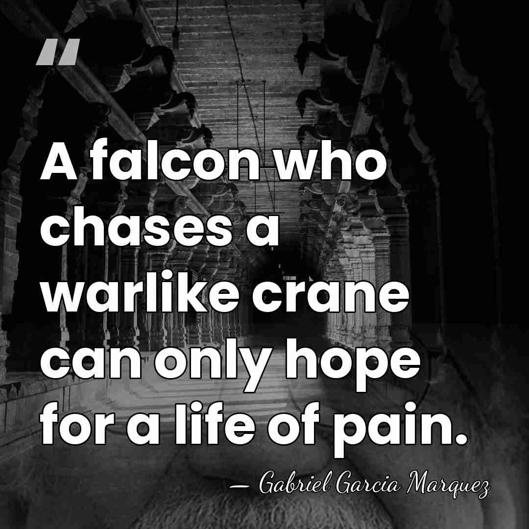 A falcon who chases a warlike crane can only hope for a&hellip; - Gabriel Garcia Marquez
